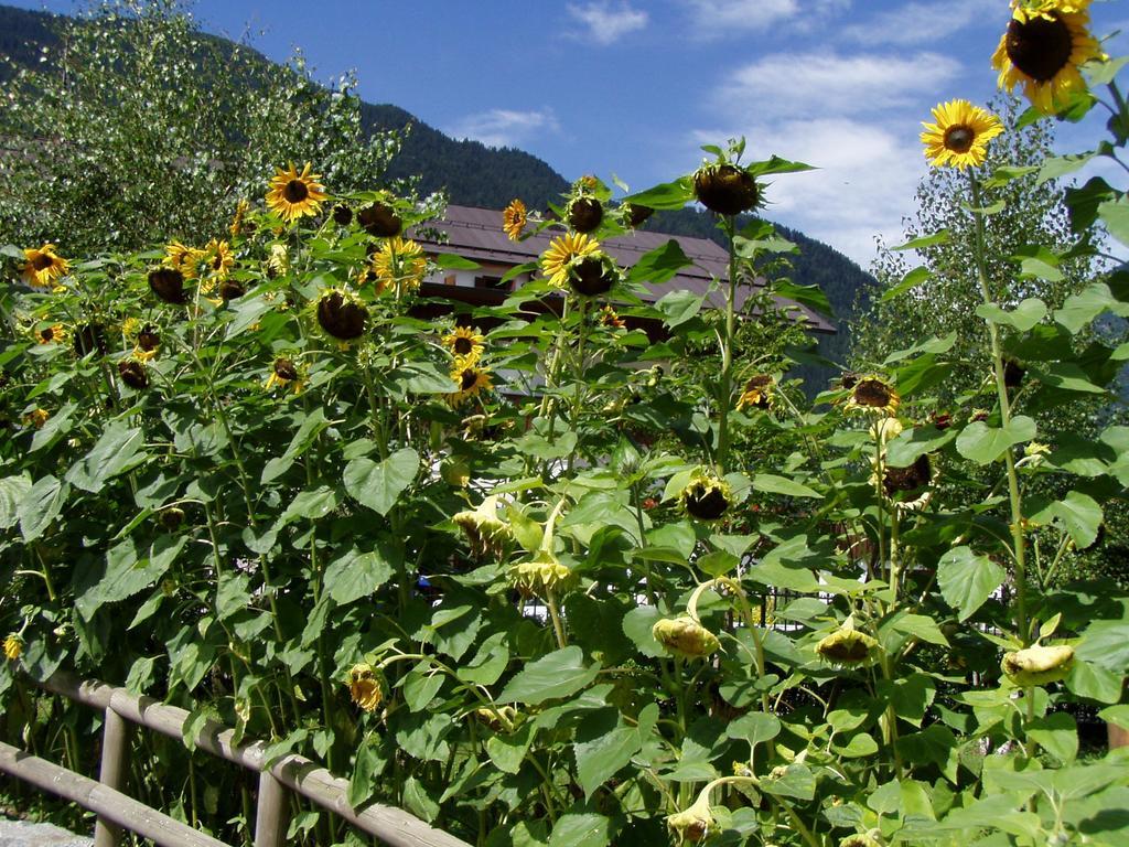 Hotel La Locanda Pinzolo Eksteriør bilde